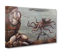 Natural History Octopus Canvas Print | Gallery Wrapped 30mm Frame Wall Art | 20x14 inches | Ready to Hang | Retro Animals Picture | Living Room Bedroom Lounge Office