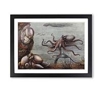 Natural History Octopus Vintage Framed Print | A2 Black Framed Wall Art | Ready to Hang | Classic Animal Picture | Living Room Bedroom Lounge Office