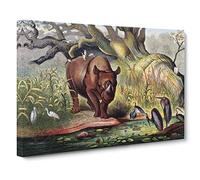 Natural History Rhinoceros Canvas Print | Gallery Wrapped 30mm Frame Wall Art | 24x16 inches | Ready to Hang | Retro Animal Picture | Living Room Bedroom Lounge Office