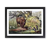 Natural History Rhinoceros Vintage Framed Wall Art Print, Ready to Hang Picture for Living Room Bedroom Home Office Décor, Black A3 (46 x 34 cm)