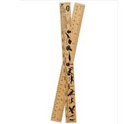 Natural History Ruler 30cm FSC Certified Wood with Timeline | Inches & Centimetres, Animal Evolution Guide, Silhouettes Included, 3000M Year Timeline, Dual-Sided Scale