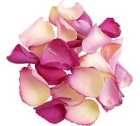 Natural in The Pink Mix Freeze Dried Rose Petals - 200g