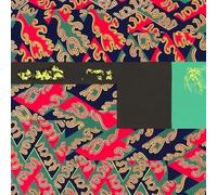 Natural Information Society / Parker, Evan - Descension (Out of Our Constrictions) (Aguirre Edition) [Vinyl LP] [VINYL]