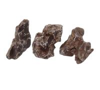 Natural Iron Meteorite Authentic Stone Sample 5g Teaching Specimen