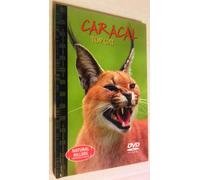 Natural Killers: Caracal Top Cat Book & Dvd Set! Predators Close-up
