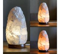 Natural Krafts Himalayan Salt Lamp Rare Pink Grey White Crystal Rock Light with Free Certified 2 PIN EU Cable and Bulb (White Salt 2-3kg) from Punjab, Pakistan