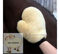 Natural Lambskin Grooming Glove for Dogs and Cats