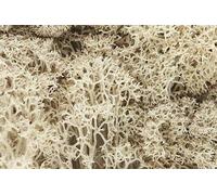 Natural Lichen for model sceneries - Woodland scenics WL166