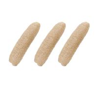 Natural Loofah Sponge, Biodegradable Loofah Scrubber for Body & Kitchen, Eco-Friendly Loofah for Shower, Dishwashing & Exfoliating Soap