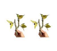 Natural Lookings Artificial Plant for Reptiles Enclosures MultiFunctional Climbing Branch Safe Environment Landscape Realistic Rainforest Climbing Branch for Reptiles Terrariums