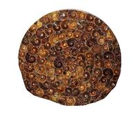 Natural Madagascar Ammonite Fossil Round Plate, Unique Polished Fossil Home Decor, 30cm Ammonite Crystal Art, Natural History Fossils for Collection