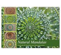 Natural Mandalas - Powerful AI mandalas made from natural materials UK-Version (Wall Calendar 2026 DIN A3 Landscape), CALVENDO 12 Month Wall Calendar