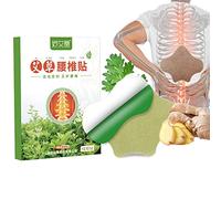 Natural Mugwort Pain Relief Patch, Chinese Medicine Herbal Self-Heating Patches, Botanical Heat Plasters for Neck Shoulder Waist Knee Pain Relief, Relieve Muscle Soreness (1 Pack - 12 pcs,Lumbar)