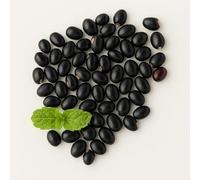 Natural Original Black Gunja Ratti Chirmi Bead Abrus Precatorius Jequirity Rosary Jaapmala Making Beads for Meditation & Pooja Astrology Organic Jewellery - 51 Beads