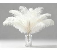 Natural Ostrich Feathers 10pcs 10-12 inches (25-30cm) Soft Fluffy Feathers for Crafting Perfect DIY for Vase Fillers Wedding Decor & Christmas Home Ornaments (White)