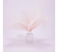Natural Ostrich Feathers 10pcs 10-12 inches (25-30cm) Soft Fluffy Feathers for Crafting Perfect DIY for Vase Fillers Wedding Decor & Christmas Home Ornaments (Light Pink)