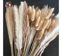 Natural Pampas Dried Flowers Bouquet for Boho Home Vase Decor Bunny Rabbit Tails Grass Artifical Flower Wedding Party Decoration N-30PCS