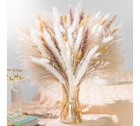 Natural Pampas Grass 8kind Grass Mix Bouquet | Dried Pampas Bouquet for Wedding Boho Flowers Home Table Desk Decor, Rustic Farmhouse Decor (93PCS)