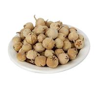 Natural Paneer DODI Paneer Ke Phool Withania Coagulan Paneer doda Indian Rennet 150 Gram