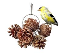 Natural Parrot Chew Toys - Bird Natural Nuts Chewing Toys - Bird Cage Accessories For Cockatoos, Parakeet, Cockatiel, Sun Conure, Lovebird