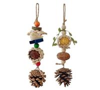 Natural Parrot Chew Toys Set for Small and Medium Birds, Bird Foraging Toys with Pinecones, Loofah, Nuts and Rattan Balls, Cage Toys for Cockatiels Conures Lovebirds(2 PCS)