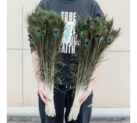 Natural Peacock Feathers 25-30CM 40-45CM for Crafts Jewelry Accessories Wedding Table Centerpiece Plumes Decoration-70-80cm-20 pcs