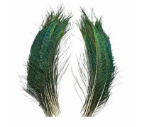 Natural Peacock Feathers for Decoration Vases Craft Long Large Feather Home Decor Vase Plumes Holiday Accessories-30-35CM 12-14inch-20 Pcs