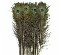 Natural Peacock Feathers for Decoration Vases Feather Home Decor Vase Dream Catcher Handicraft Table Decoration Accessories-40-45CM 16-18inch-20 Pcs