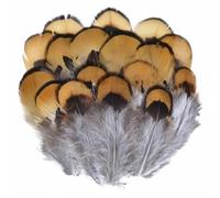 Natural Peacock Pheasant Feathers Small Eagle Chicken Plumes Ostrich Decor DIY Handicraft Accessories Jewelry Creation-3-7cm_b-20Pcs