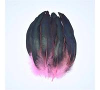 Natural Pheasant Feathers, Natural Pheasant Rooster Craft Feathers 50pcs Multicolor for Fly Tying and Crafts(Pink)