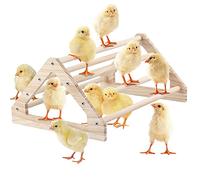 Natural Pine Chicken Perch Jungle Gym - Roosting Bar & Playground for Chicks, Hens, Parakeets and Small Birds