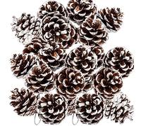 Natural Pine Cones, 25pcs Rustic Snow Pine Cones with String - Winter Holiday Hanging Ornament for Xmas Tree Gift Tag Party Decoration (4-5cm)