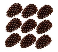 Natural Pine Cones 9pcs Brown Decoration for Holiday Crafts | Pine Cone, Chic Decorative Style, Natural Look, Living Room Display, Practical DIY Making, Vivid Atmosphere