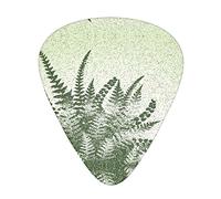 Natural Plant Fern Leaf Unique Guitar Picks With Clear Prints And Multiple Thicknesses