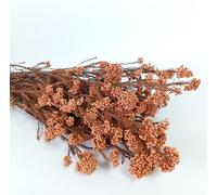Natural Preserved Millet Flowers Helichrysum Dried Bouquet Rice Flower for Home and Wedding Decoration 23” (Orange)