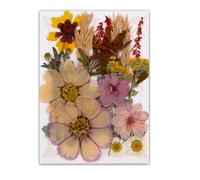 Natural Pressed Dried Flower For Epoxy Resin Dry Flowers And Leaves Set For Soap Jewelry Making Scrapbooking Wedding Flower Arrangement