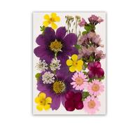 Natural Pressed Flower Collection for Resin Art Projects and Handmade Craft Decoration Organic Pressed Flowers Set with Dried Leaves and Floral Pattern for Resin Casting