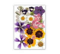 Natural Pressed Flower Collection for Resin Art Projects and Handmade Craft Decoration Organic Pressed Flowers Set with Dried Leaves and Floral Pattern for Resin Casting