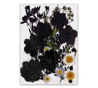 Natural Real Book Reading with Artistic Pressed Flower Crafting in Black for Students and Teachers Elegant Book Reading