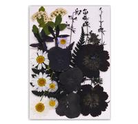 Natural Real Book Reading with Artistic Pressed Flower Crafting in Black for Students and Teachers Elegant Book Reading