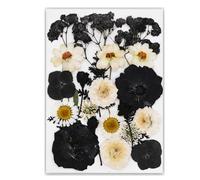 Natural Real Book Reading with Artistic Pressed Flower Crafting in Black for Students and Teachers Elegant Book Reading