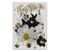 Natural Real Book Reading with Artistic Pressed Flower Crafting in Black for Students and Teachers Elegant Book Reading