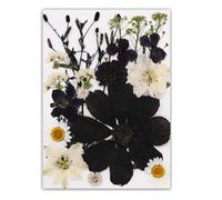 Natural Real Book Reading with Artistic Pressed Flower Crafting in Black for Students and Teachers Elegant Book Reading
