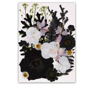 Natural Real Book Reading with Artistic Pressed Flower Crafting in Black for Students and Teachers Elegant Book Reading