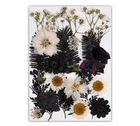 Natural Real Book Reading with Artistic Pressed Flower Crafting in Black for Students and Teachers Elegant Book Reading