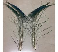 Natural Real Peacock Feathers Peacock Edge Hair Sword Tail Accessories DIY Peacock Feather Vase Decoration 50-60Cm Edge Tail 8 Pieces