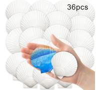 Natural Scallop Shells, 36PCS White Beach Shells 2-3 Inches for DIY Crafts, Wedding & Summer Decor, Natural Unpolished Seashell Set for Home Décor and Creative Projects(white)
