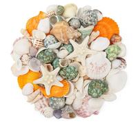 Natural Sea Shell Mixed Ocean Shells Set - 0.8"-2.5" Various Sizes Seashell Conch Shells & Starfish for Beach Themed Decor, DIY Crafts, Vase Fillers, Fish Tank, Home, Wedding and Party Decoration