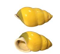 Natural Sea Shells, LargeNaturalOceanConch， Hermit Crab Shells, Shells for Hermit Crabs, 2 Snail Shells,Opening Size Approx. 0.78-1.57Inch Hermit Crab House