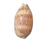 Natural Sea Shells, LargeNaturalOceanConch， Shells 6-9Cm Specimen Snail Naturally Beautiful for Party Wedding Home Decorations Accessories(8~9cm)
